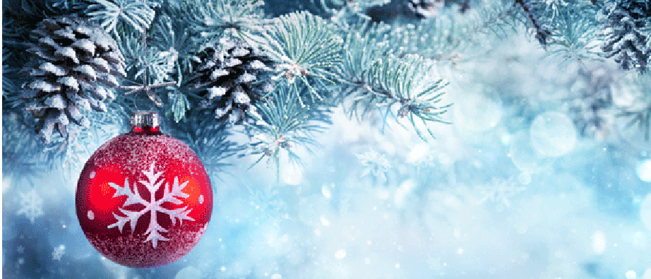 En röd julgranskula i en frostig grangren med kotte