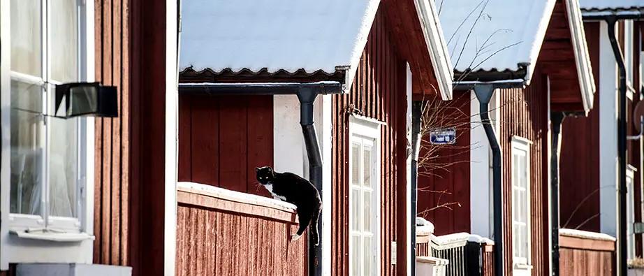 Flera små röda hus i rad och en katt som sitter på ett staket.