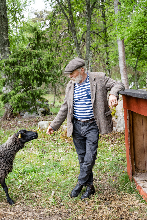 Peter står i fårhagen och matar ett svart får. 