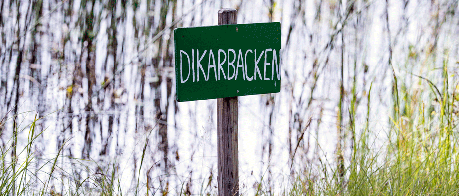 Bilden visar en skylt som det står Dikarbacken på