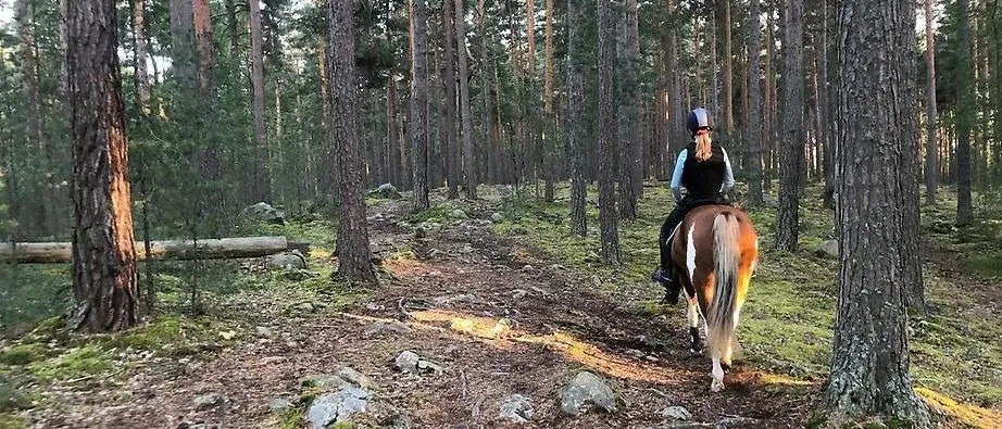 Person som rider i skogen