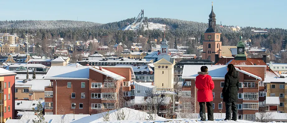 Utsikt över Falun, vinter, snö på marken