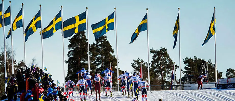 Svenska flaggor vajar i vinden
