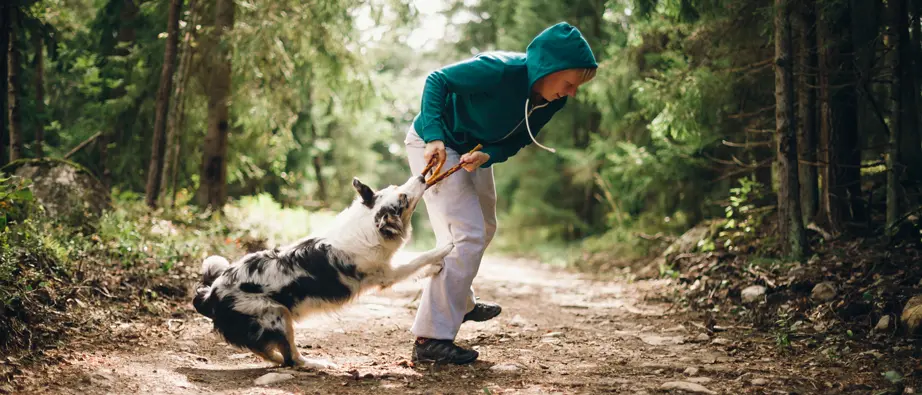 Barn som leker med hund på stig i skogen.