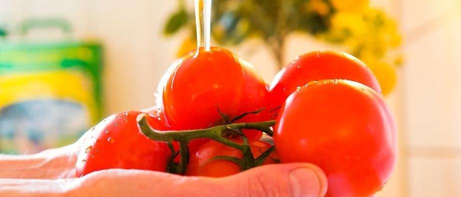 Person sköljer tomater under kran