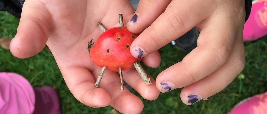 Barnhänder som håller i något som ser ut som en nyckelpiga gjort av ett äpple och pinnar