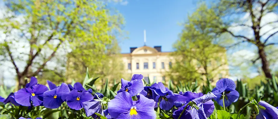 Kristinegymnasiet syns i bakgrunden och framför växer det blåa blommor