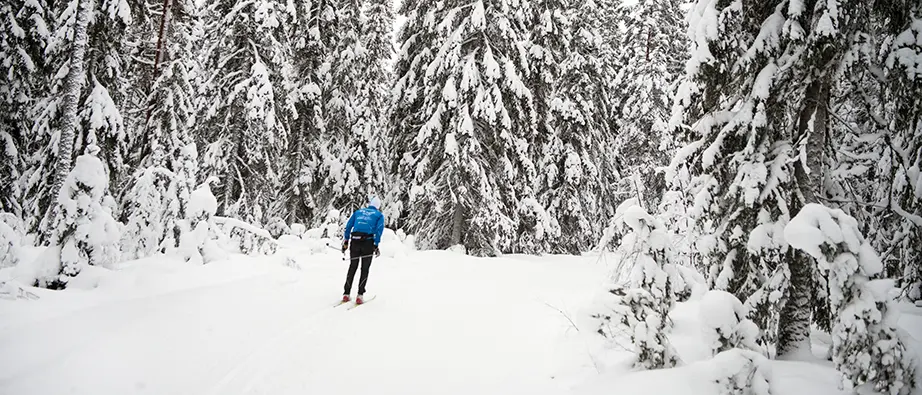Person som åker skidor på Lugnet i Falun