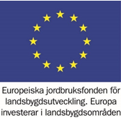 EU-logga