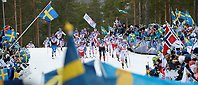 Skidåkare i massor åker inför publik som viftar med svenska flaggor